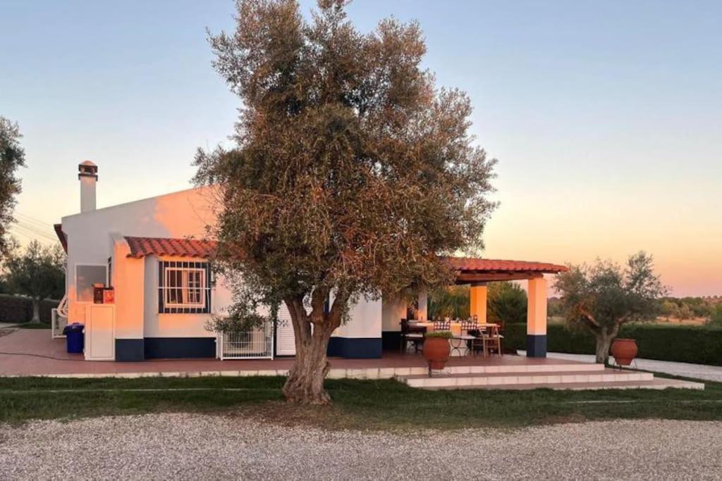 Casa Das Oliveiras Avis Exterior foto